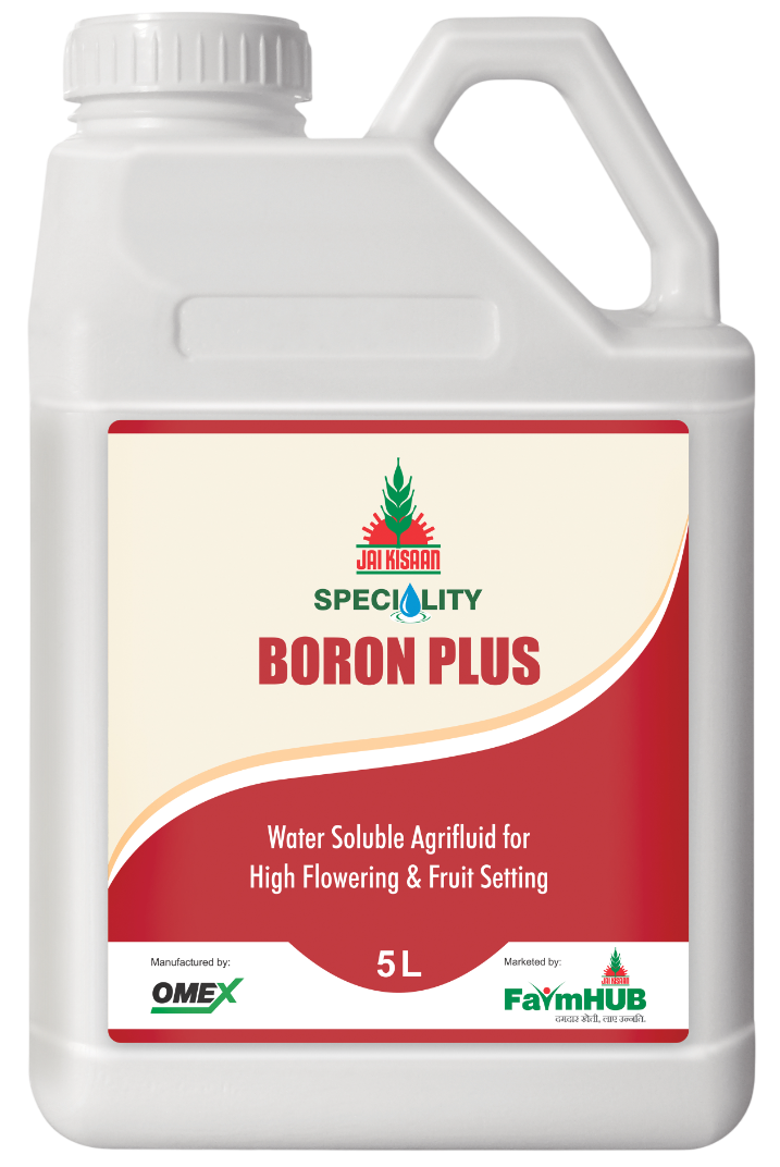 BORON PLUS